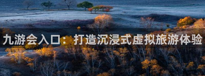 彩神vi