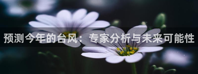 彩神iii彩神中国