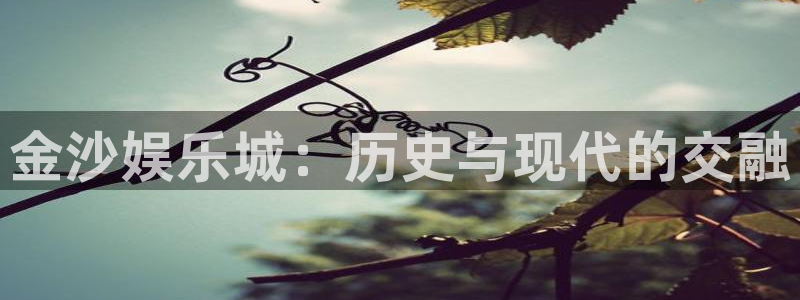 彩神ll8