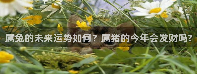 彩神lll