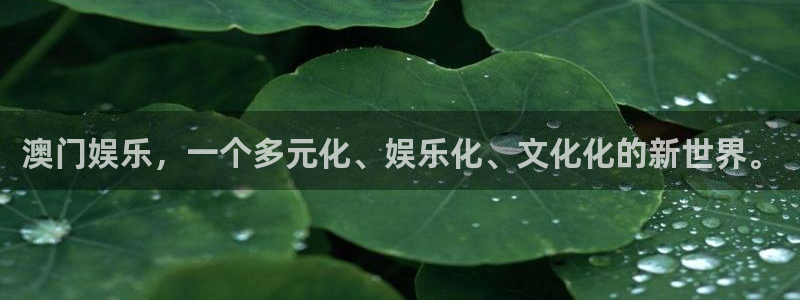 彩神vi首页