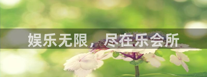 app彩神网