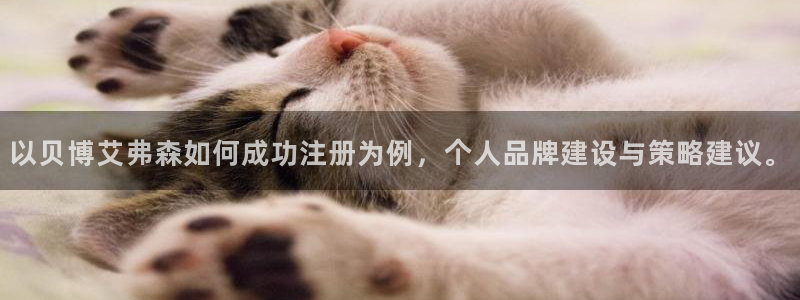 大发快彩神