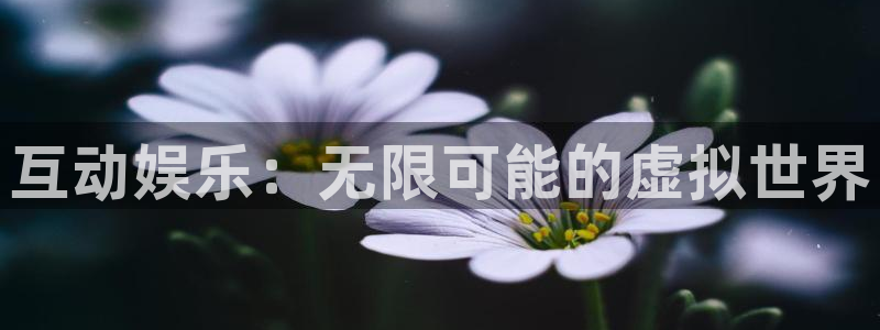 彩神lll