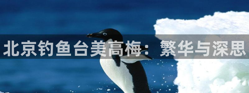 welcome彩神购彩