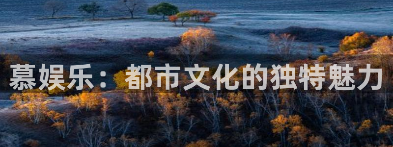 彩神iv