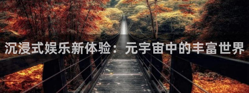 傲世彩神