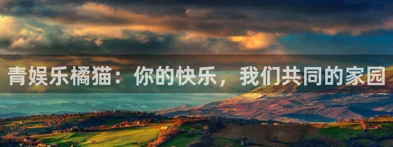 500彩神：青娱乐橘猫：你的快乐，我们共同的家园