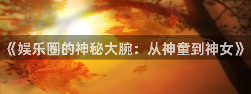 全民彩神