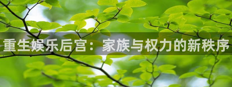 中彩神：重生娱乐后宫：家族与权力的新秩序