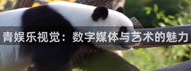app彩神：青娱乐视觉：数字媒体与艺术的魅力