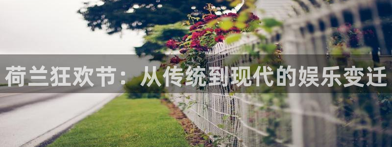彩神vi：荷兰狂欢节：从传统到现代的娱乐变迁